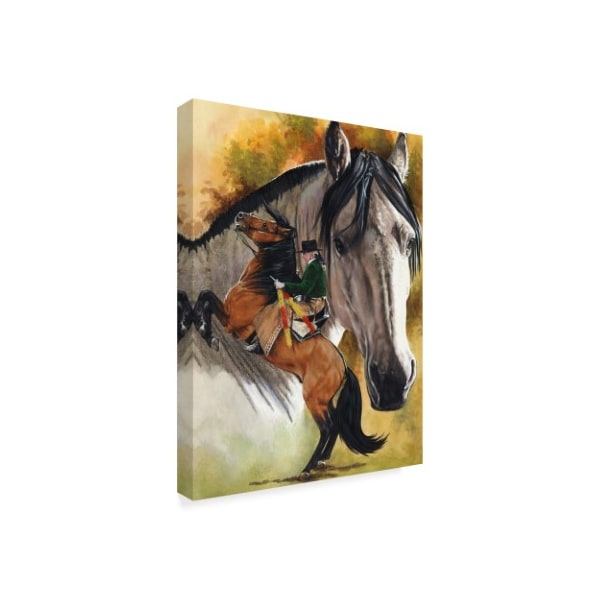 Barbara Keith 'Lusitano' Canvas Art,35x47